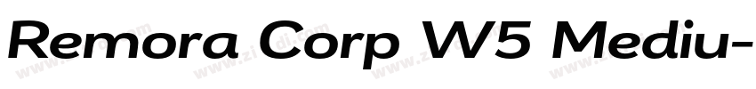 Remora Corp W5 Mediu字体转换